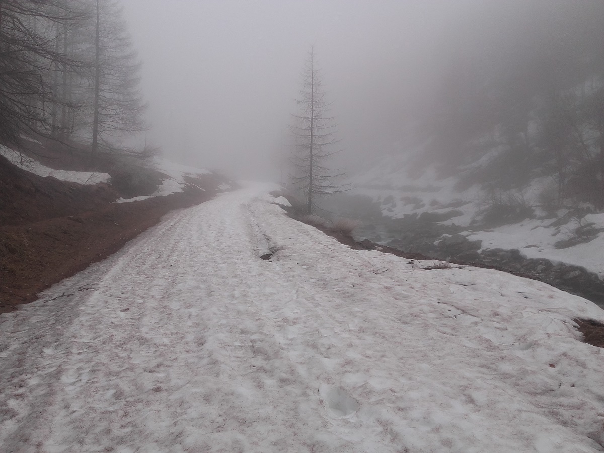 Val Troncea con la nebbia, foto di D. Rosselli per Parchi Alpi Cozie